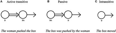 The Role of Language in Expressing Agentivity in Caused Motion Events: A Cross-Linguistic Investigation